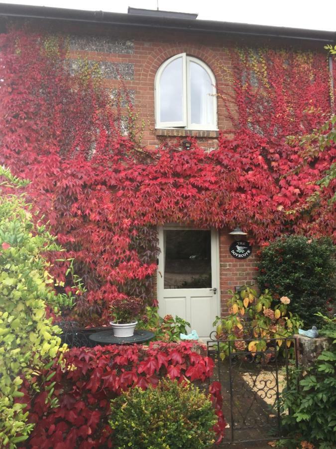 Villa The Dovecote, Stoke Farthing Courtyard Broad Chalke